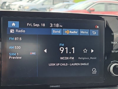 2021 Hyundai Santa Fe Hybrid Blue